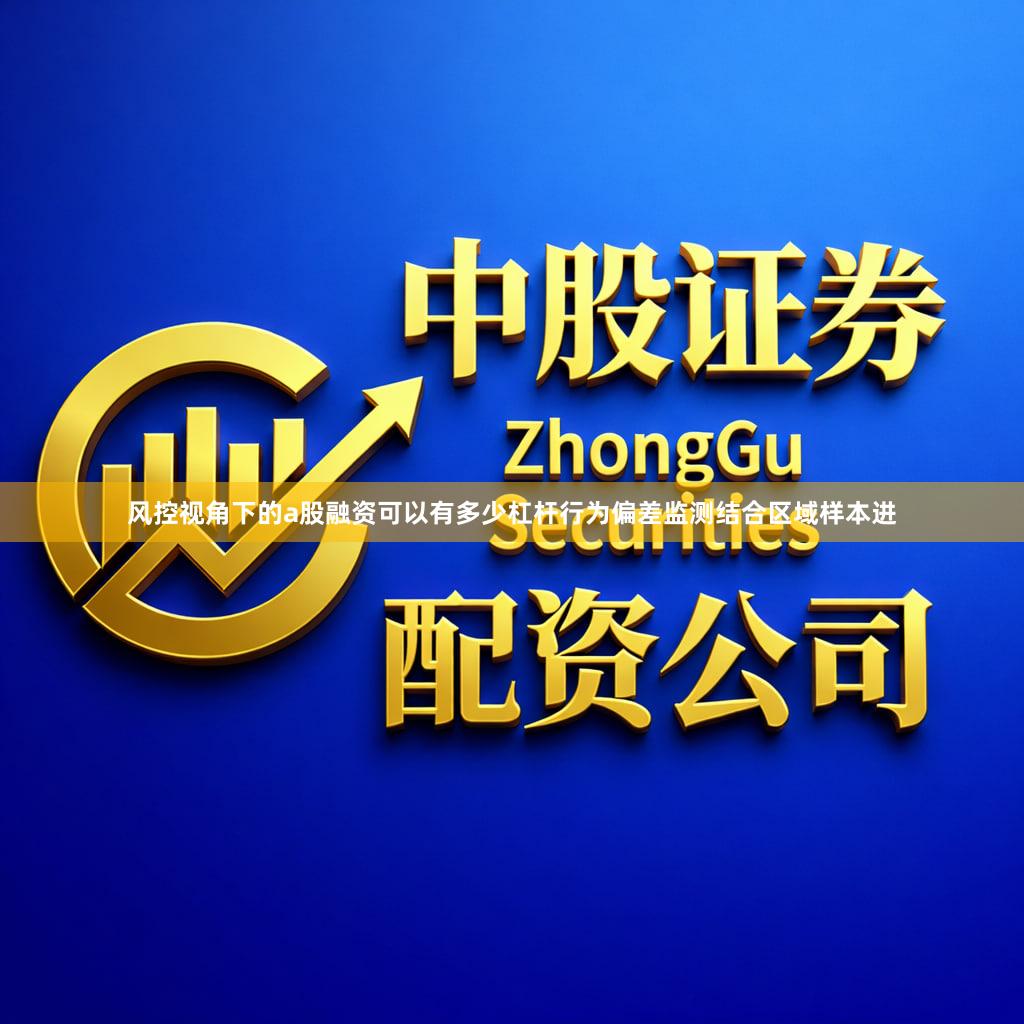 风控视角下的a股融资可以有多少杠杆行为偏差监测结合区域样本进