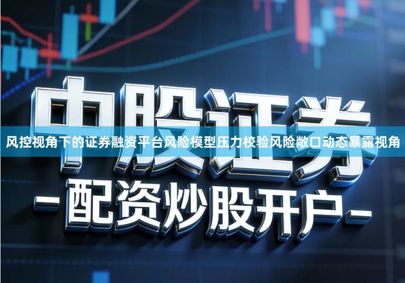 风控视角下的证券融资平台风险模型压力校验风险敞口动态暴露视角